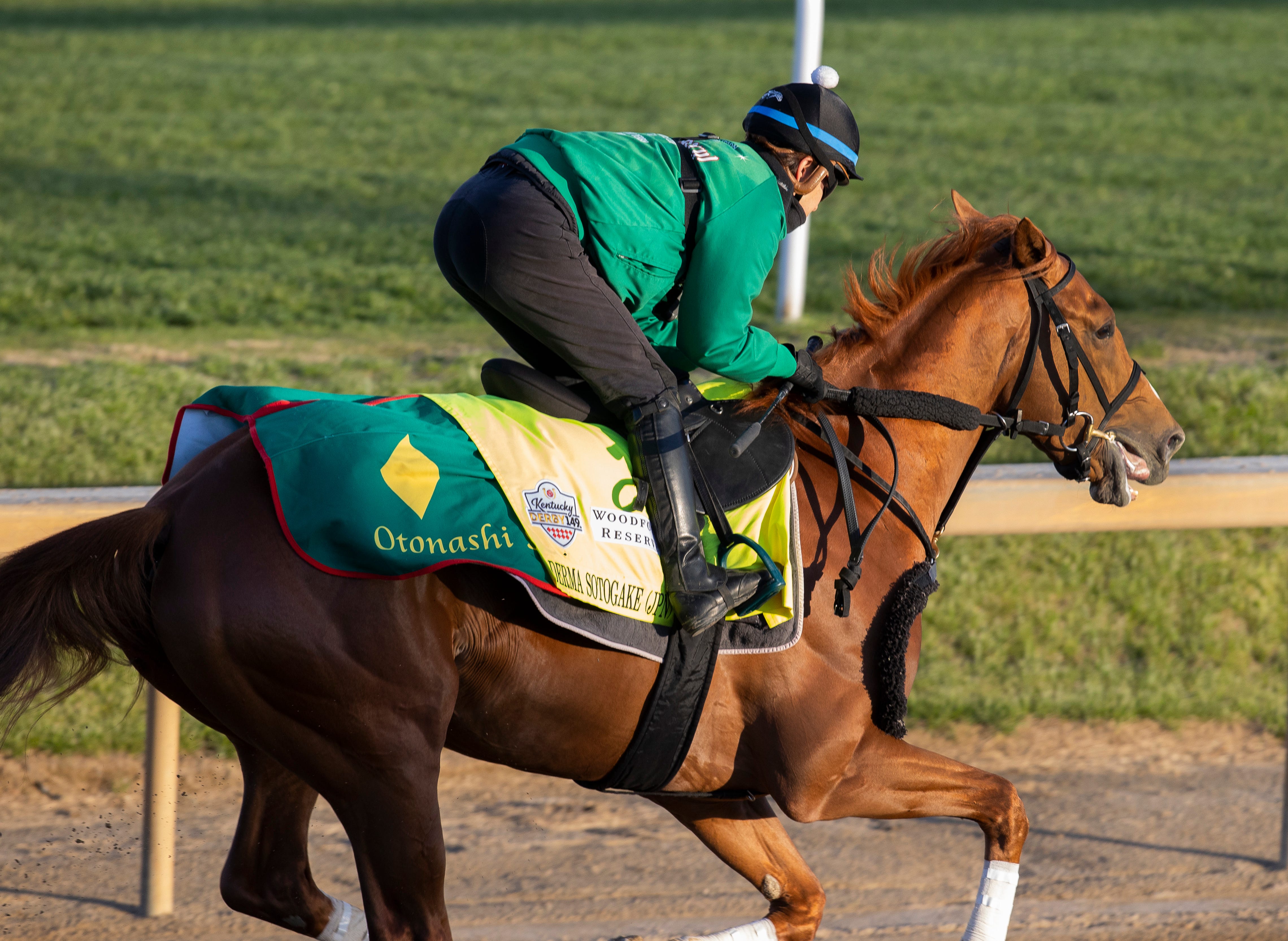 2023 Kentucky Derby Racing Form Printable Forms Free Online